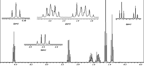 1H NMR