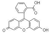 Fluorescein