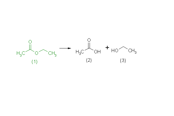 metabolic pathway