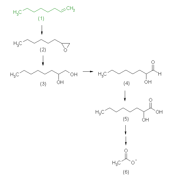 metabolic pathway