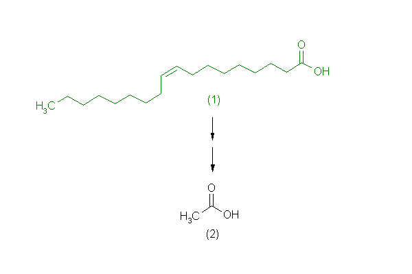 metabolic pathway