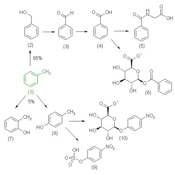 metabolic pathway