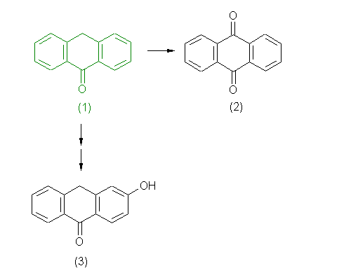 metabolic pathway