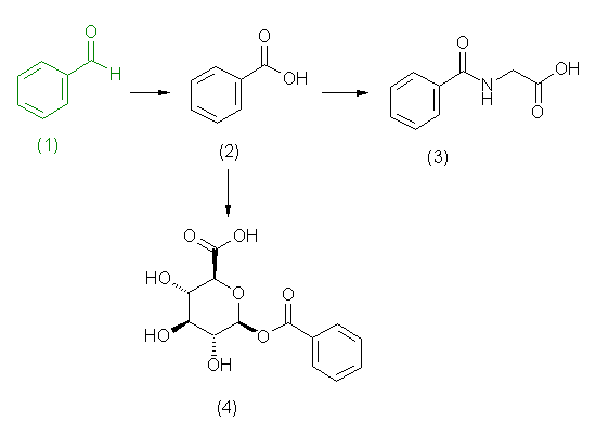 metabolic pathway