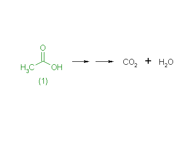 metabolic pathway