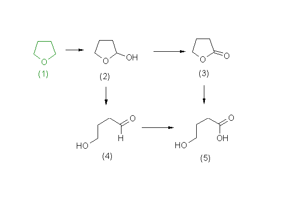 metabolic pathway