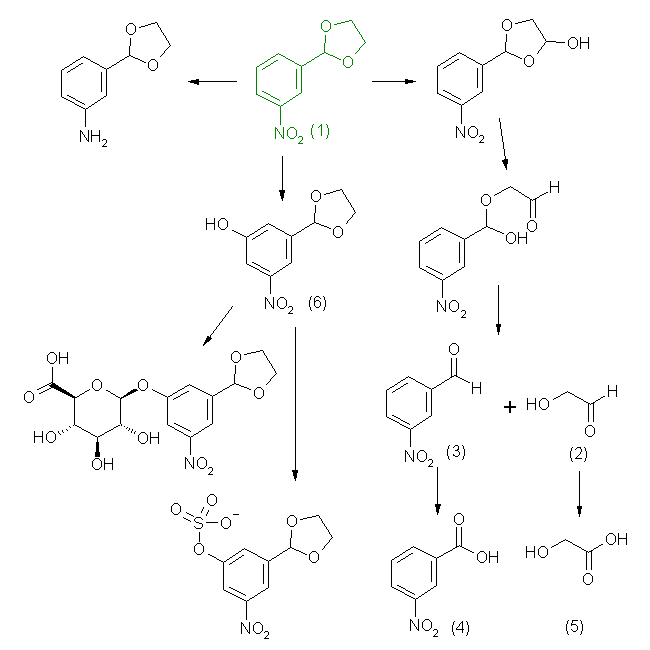 metabolic pathway